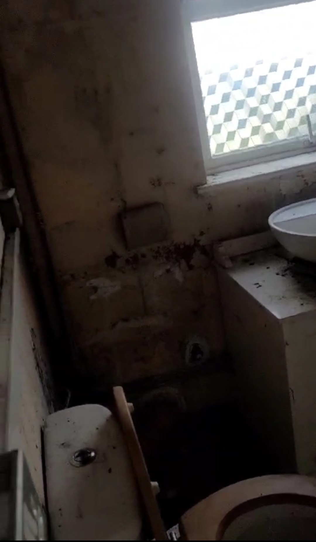 Toilet area before renovation